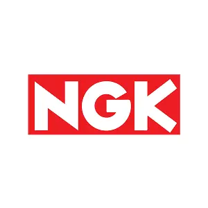 NGK-1