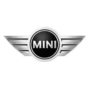 mini-1